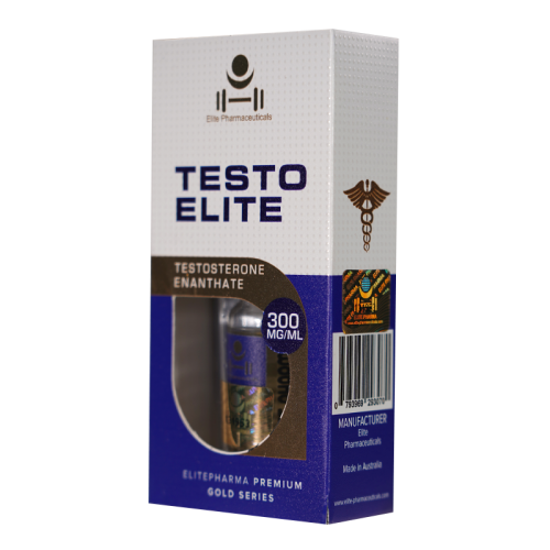  - 全面幸福, 選擇系列