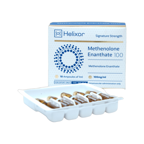  - 身體表現,薩波潘